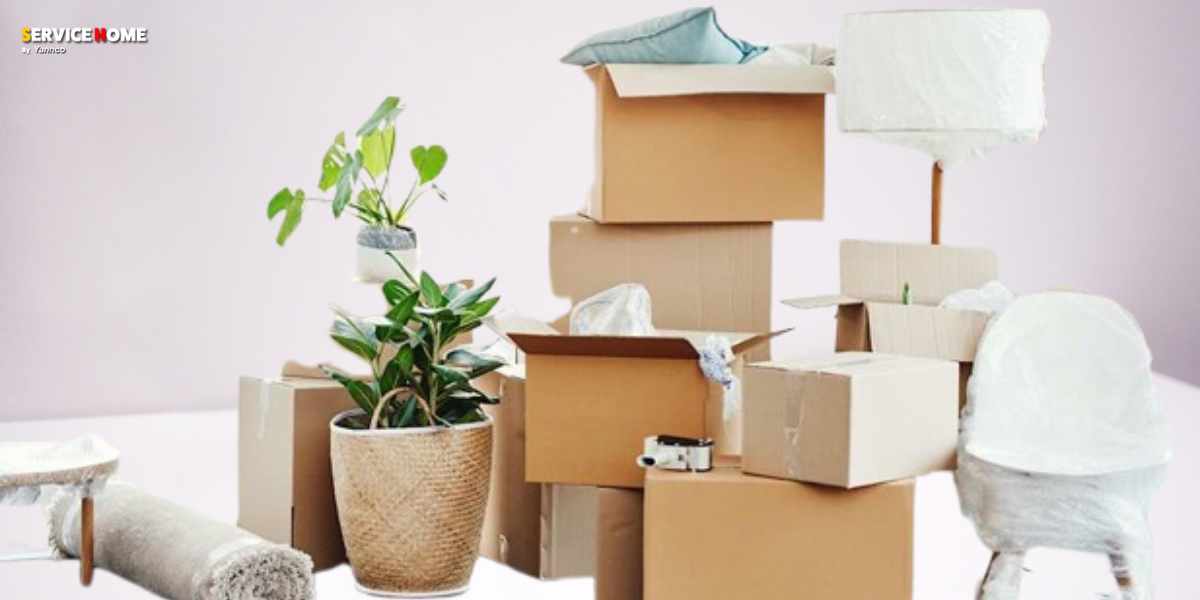 Moving and Storage Company